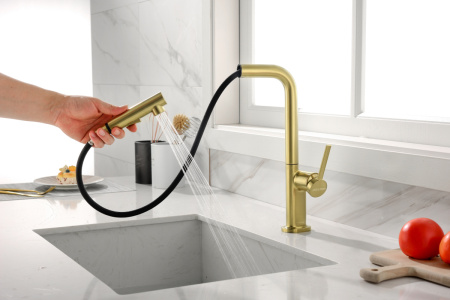 Смеситель для кухни Paulmark NEO Ne214419-BG на мойку золото